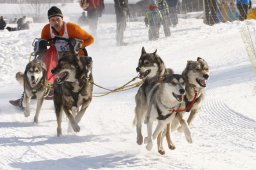 Lenk 2012 SM